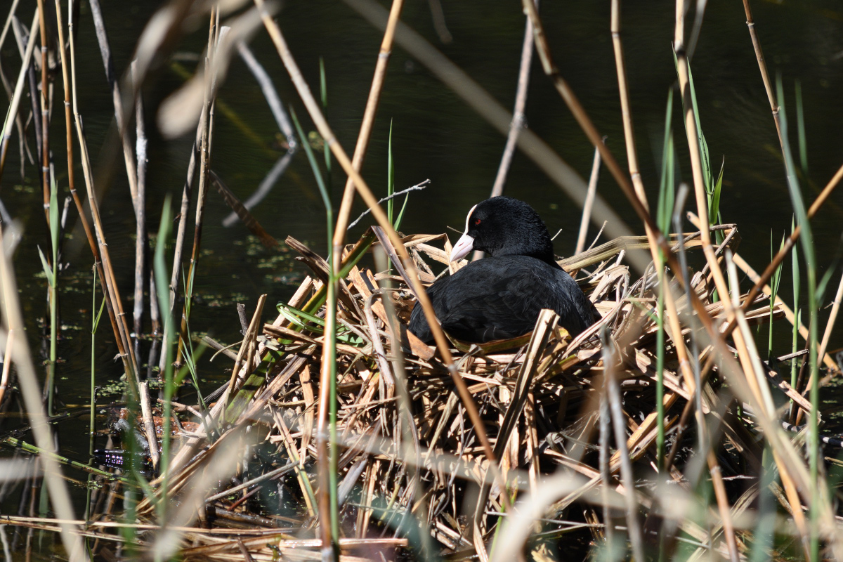 DSC_3312.JPG