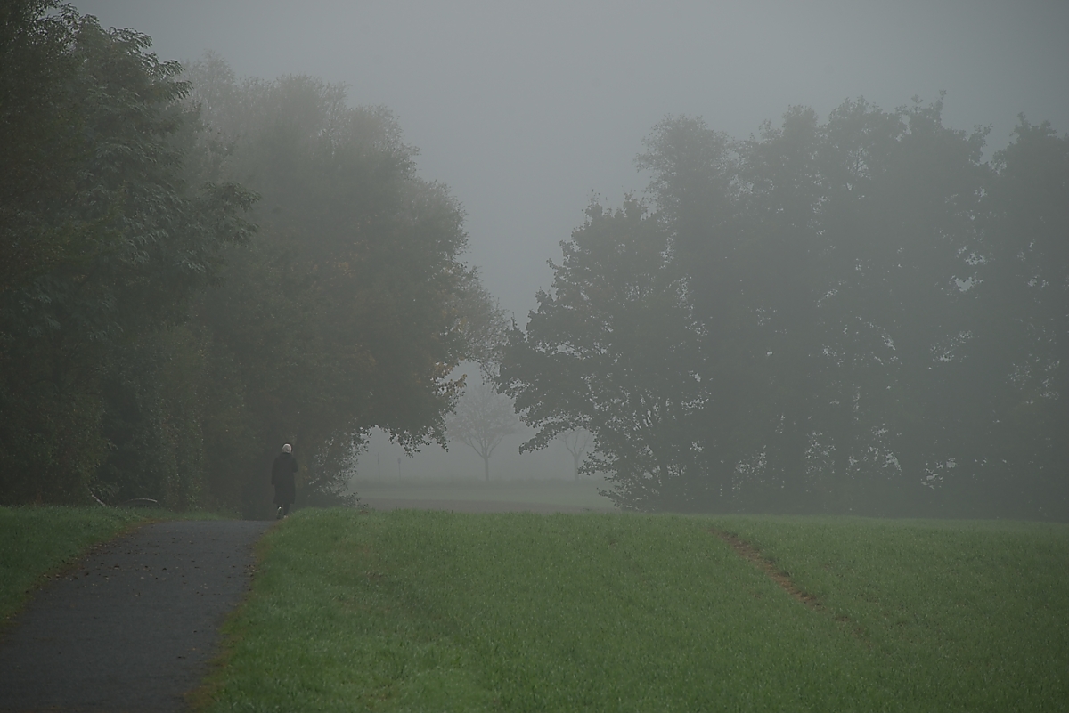 DSC_3320_NIKON Z 5_1200.jpg