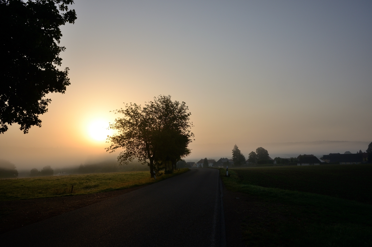 DSC_3328_00001n.jpg