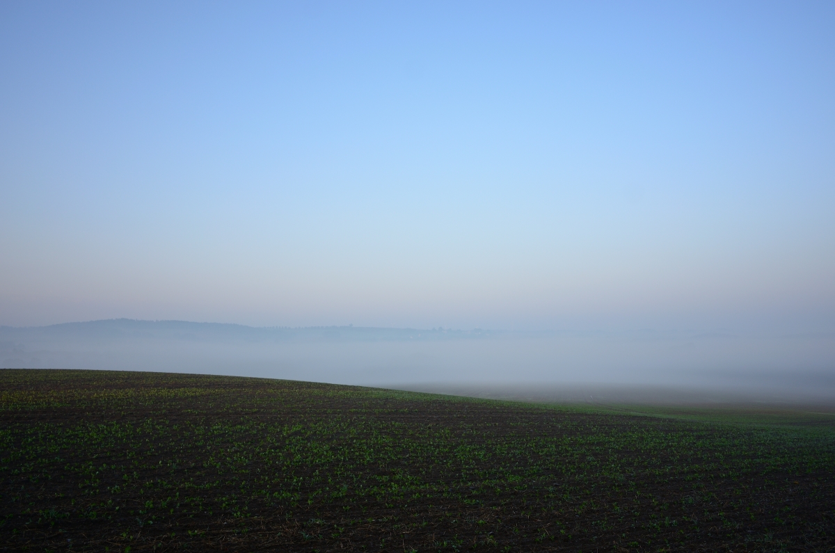 DSC_3329_00001n.jpg