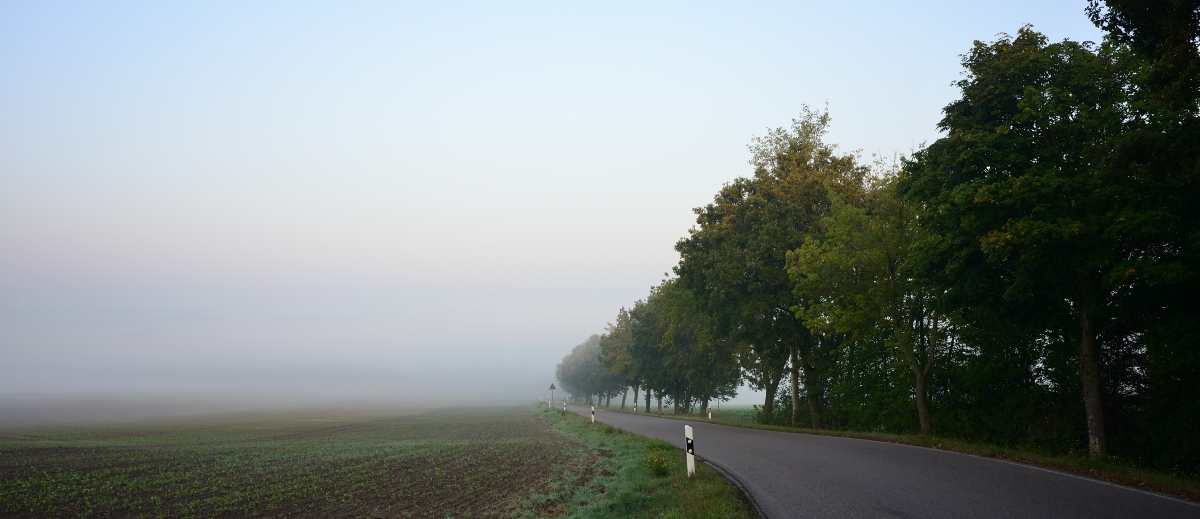 DSC_3330_00001_01n.jpg