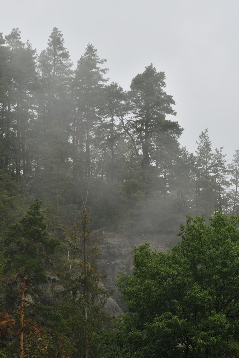 DSC_3334_00001n.jpg