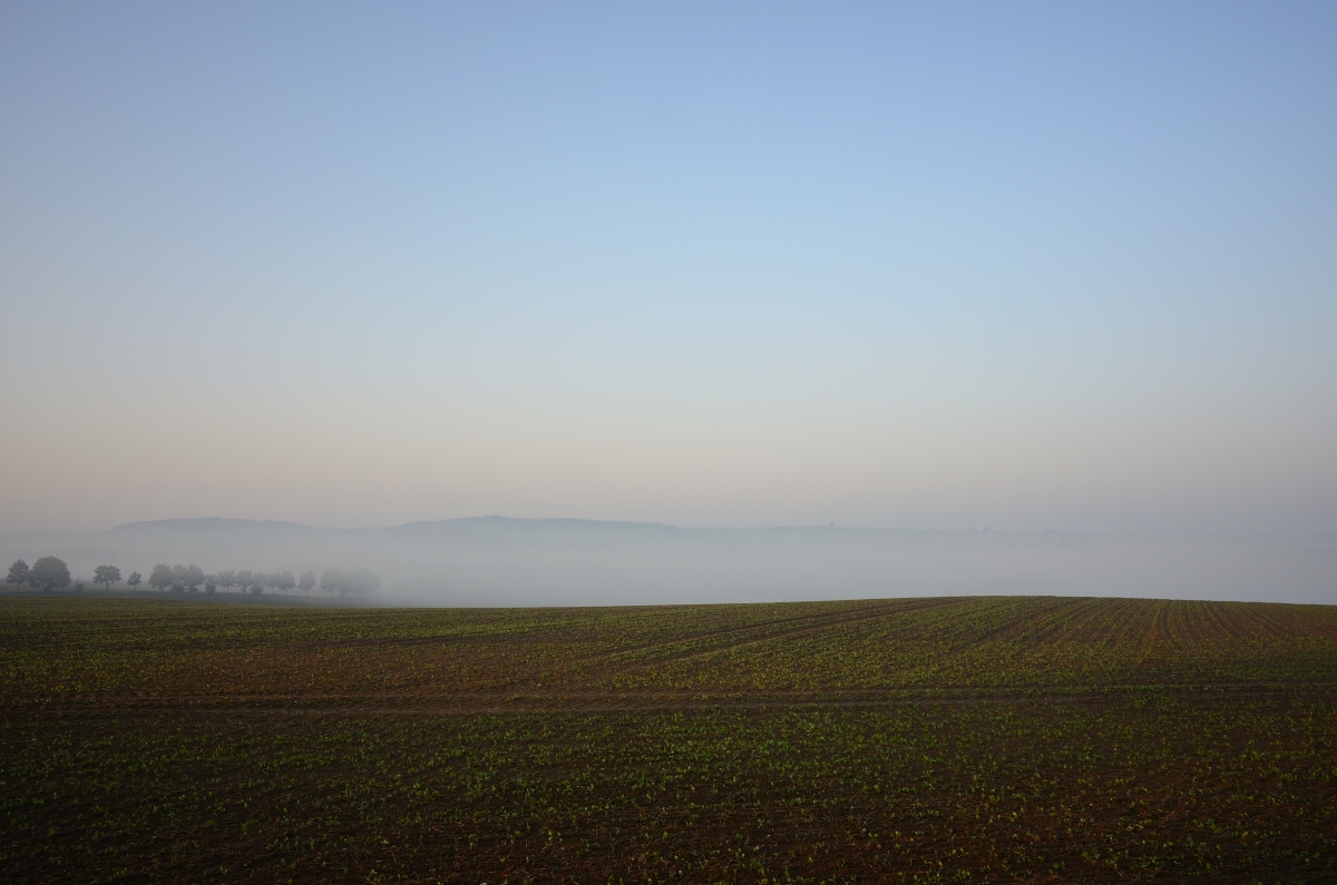 DSC_3334_00001n.jpg