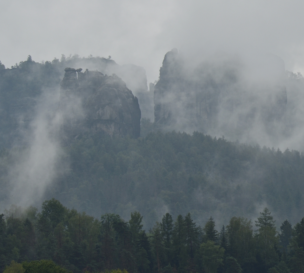 DSC_3335_00001_01n.jpg