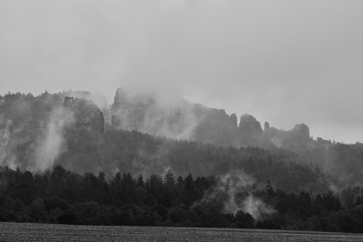 DSC_3335_00001_03n.jpg