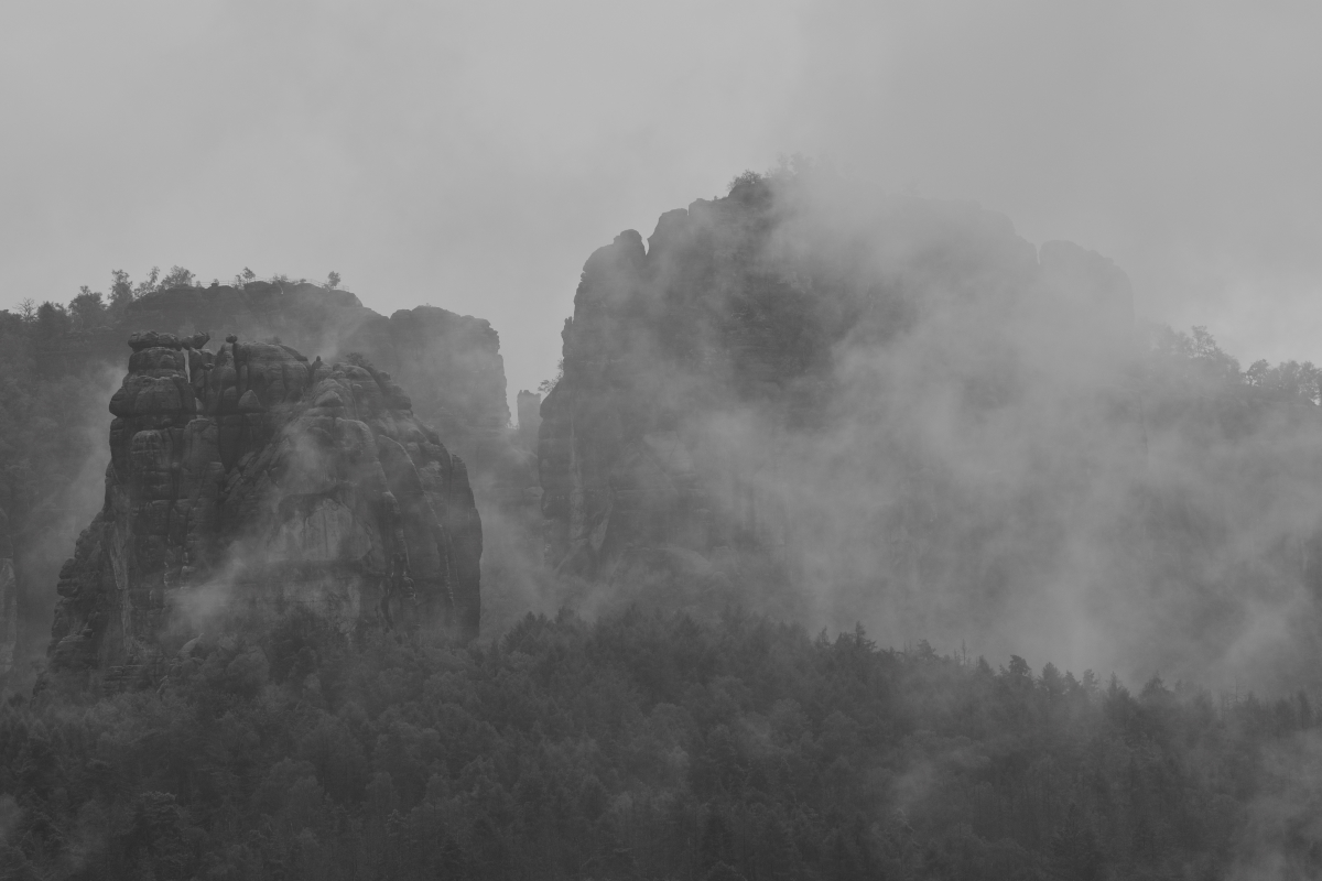 DSC_3340_00001_01n.jpg