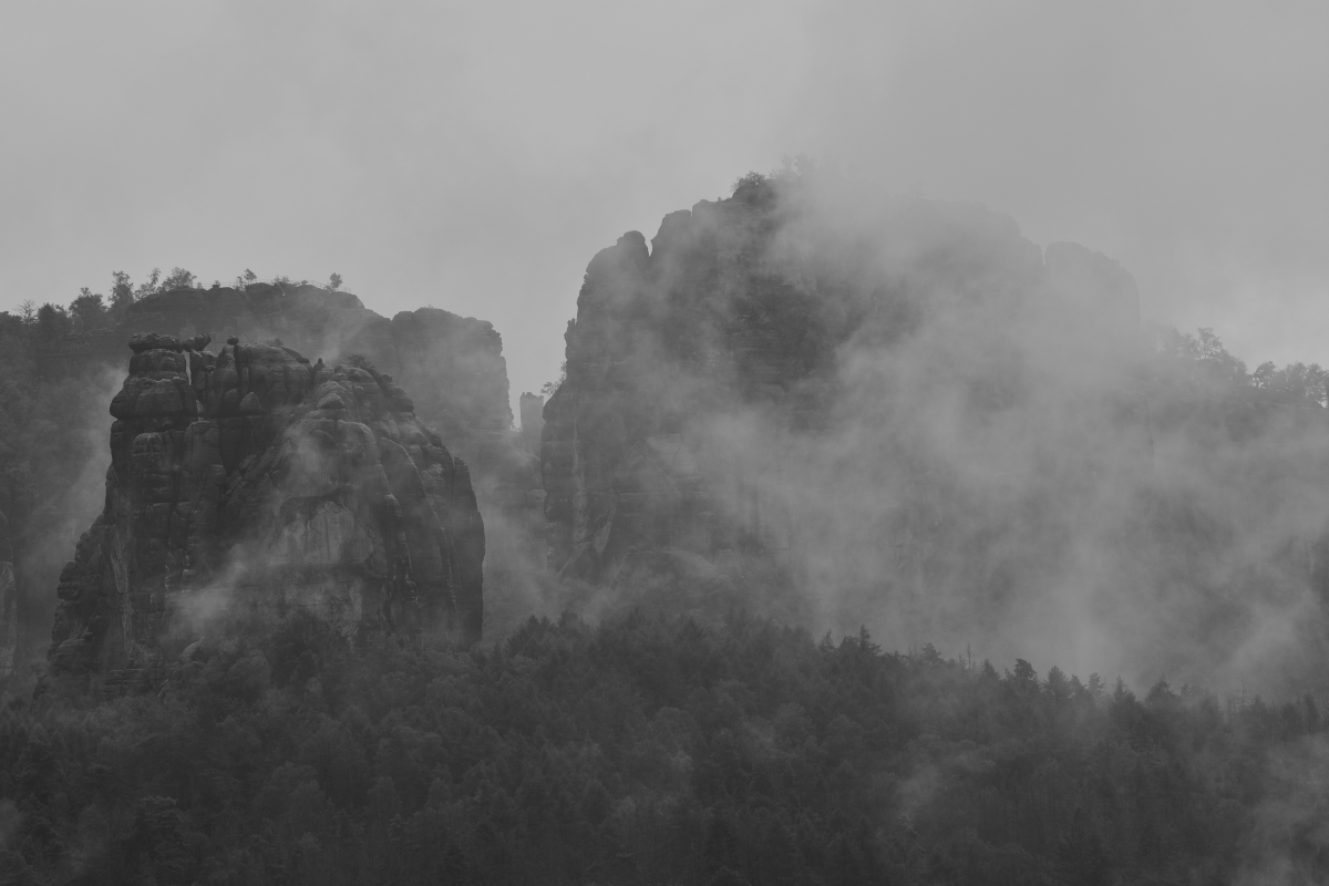 DSC_3340_00001_03n.jpg
