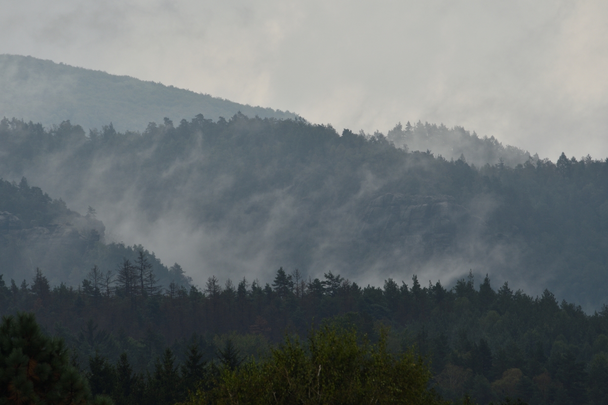 DSC_3349_00001n.jpg
