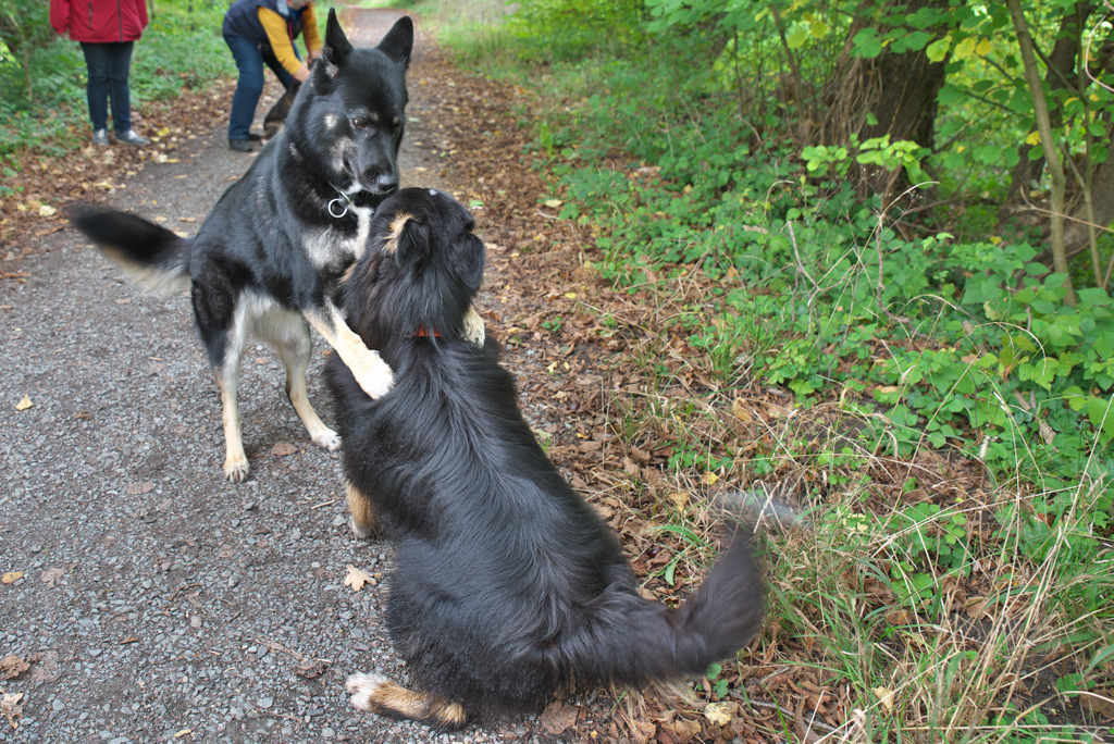 DSC_3352.jpg