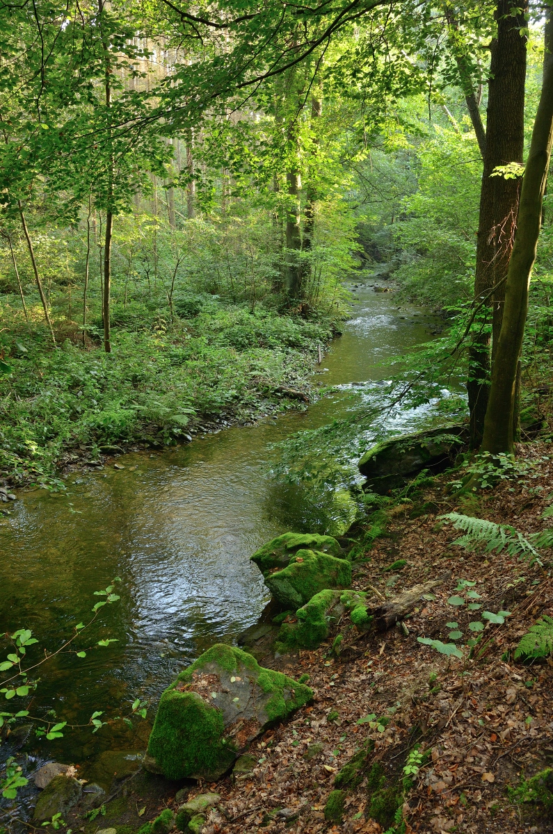 DSC_3352_00001_02n.jpg