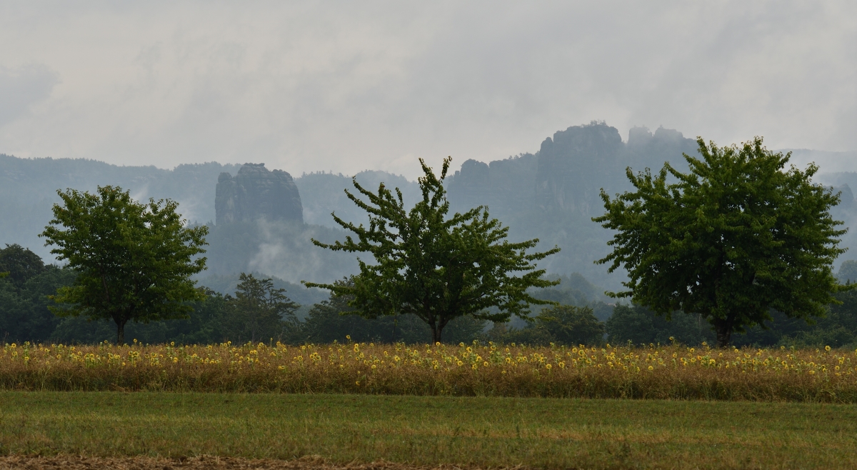 DSC_3353_00001 (2)n.jpg
