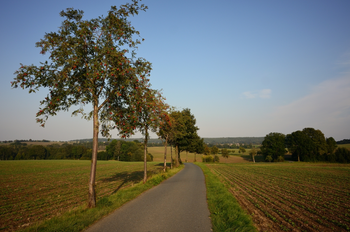 DSC_3355_00001n.jpg