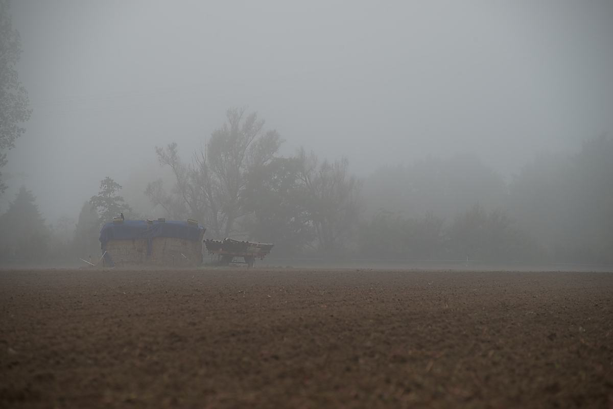 DSC_3357_NIKON Z 5_1200.jpg