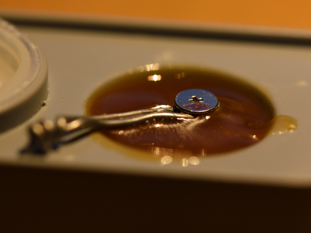 DSC_3368_00002.jpg
