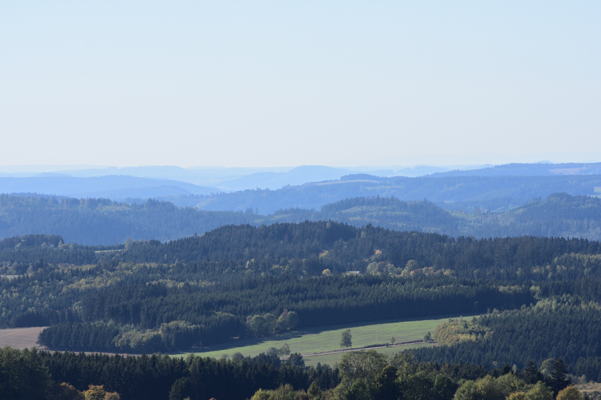 DSC_3396.JPG