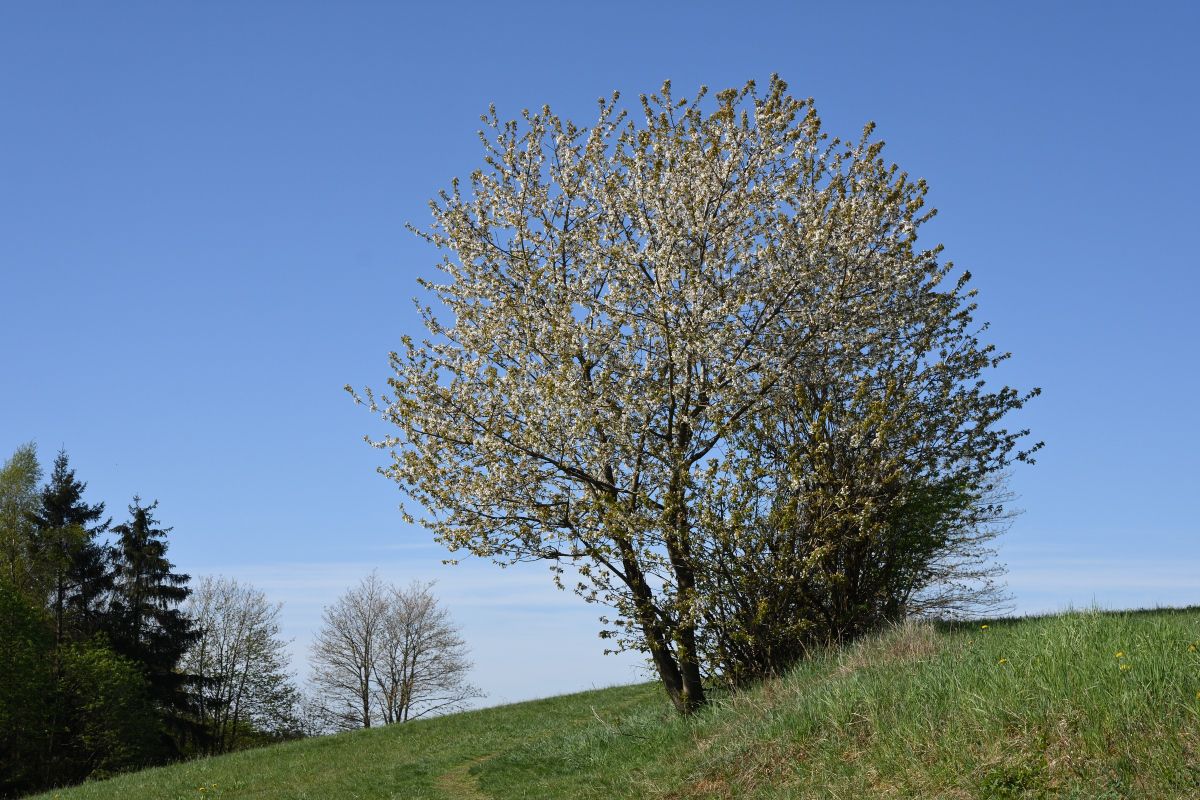 DSC_3408.JPG