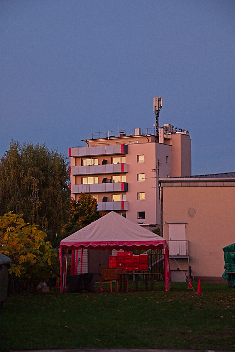 DSC_3412_NIKON Z 5_1200.jpg