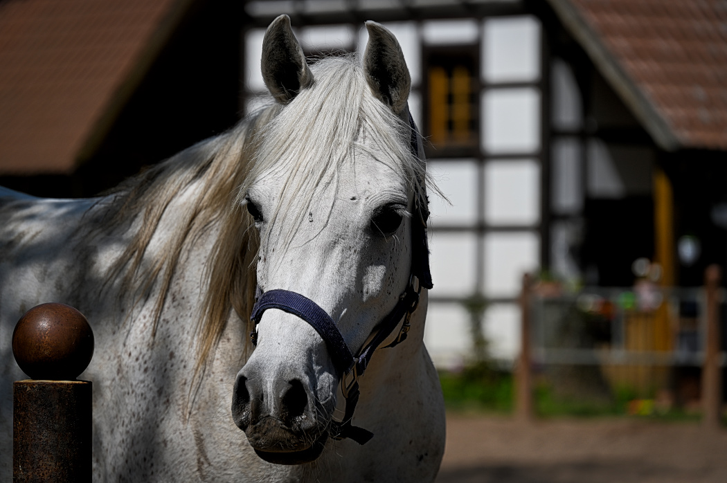 DSC_3420.jpg