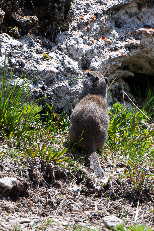 DSC_3445 (2)-Verbessert-RR.jpg