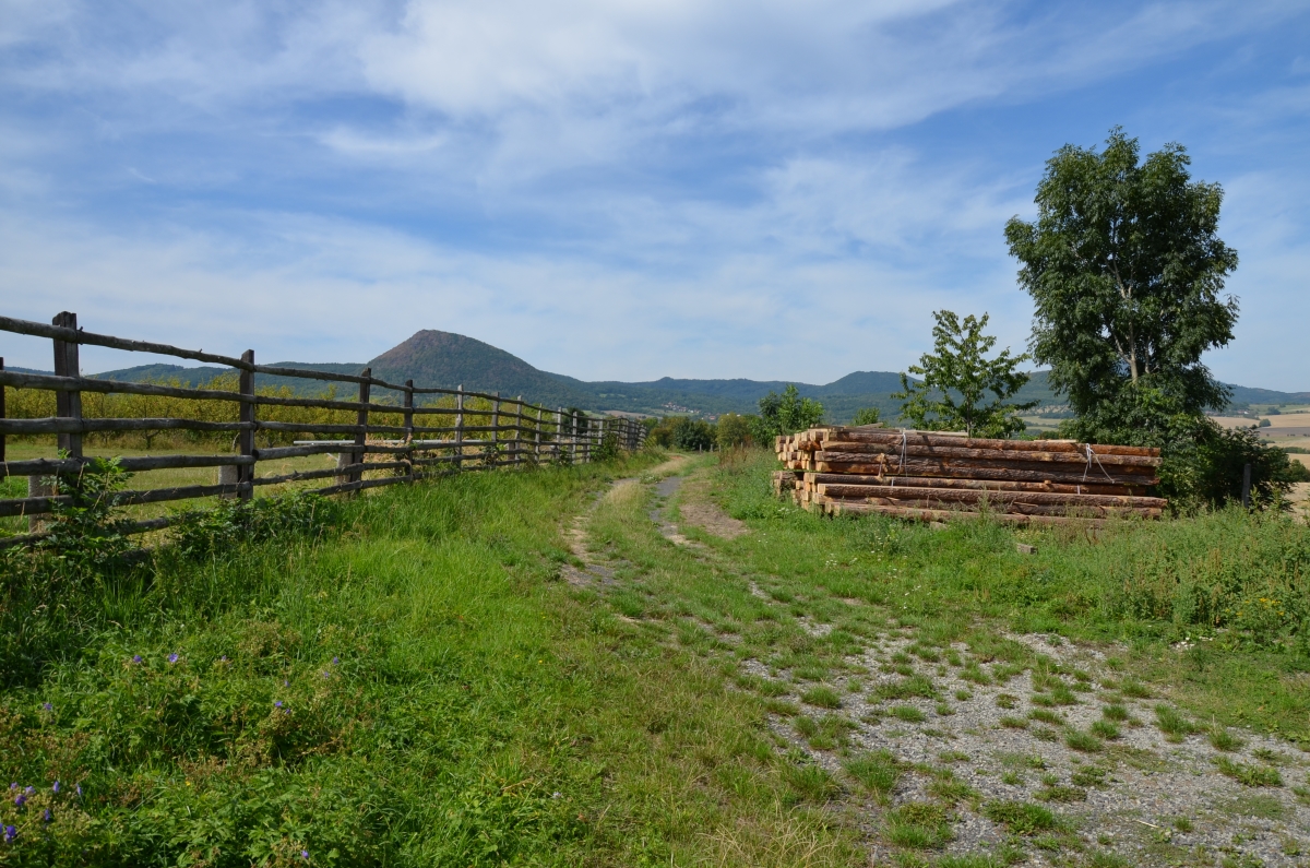 DSC_3451n.JPG
