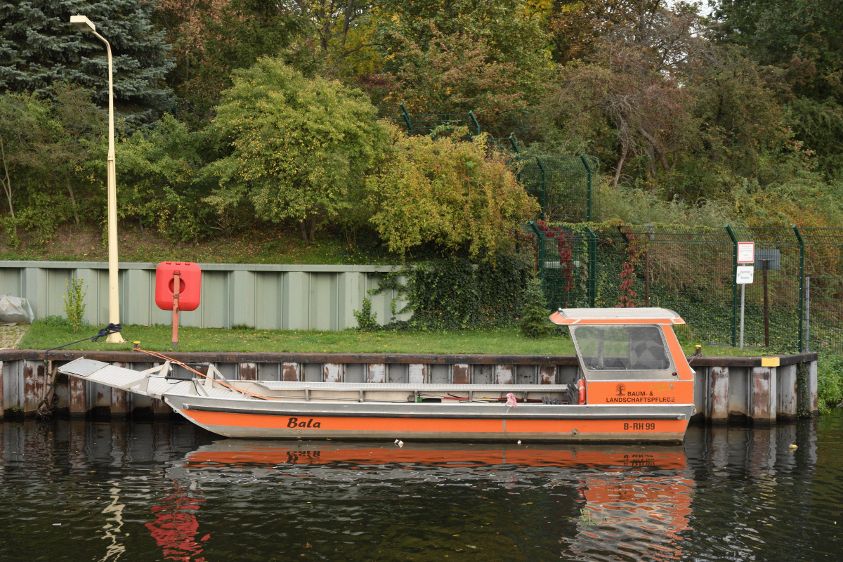 DSC_3463.JPG