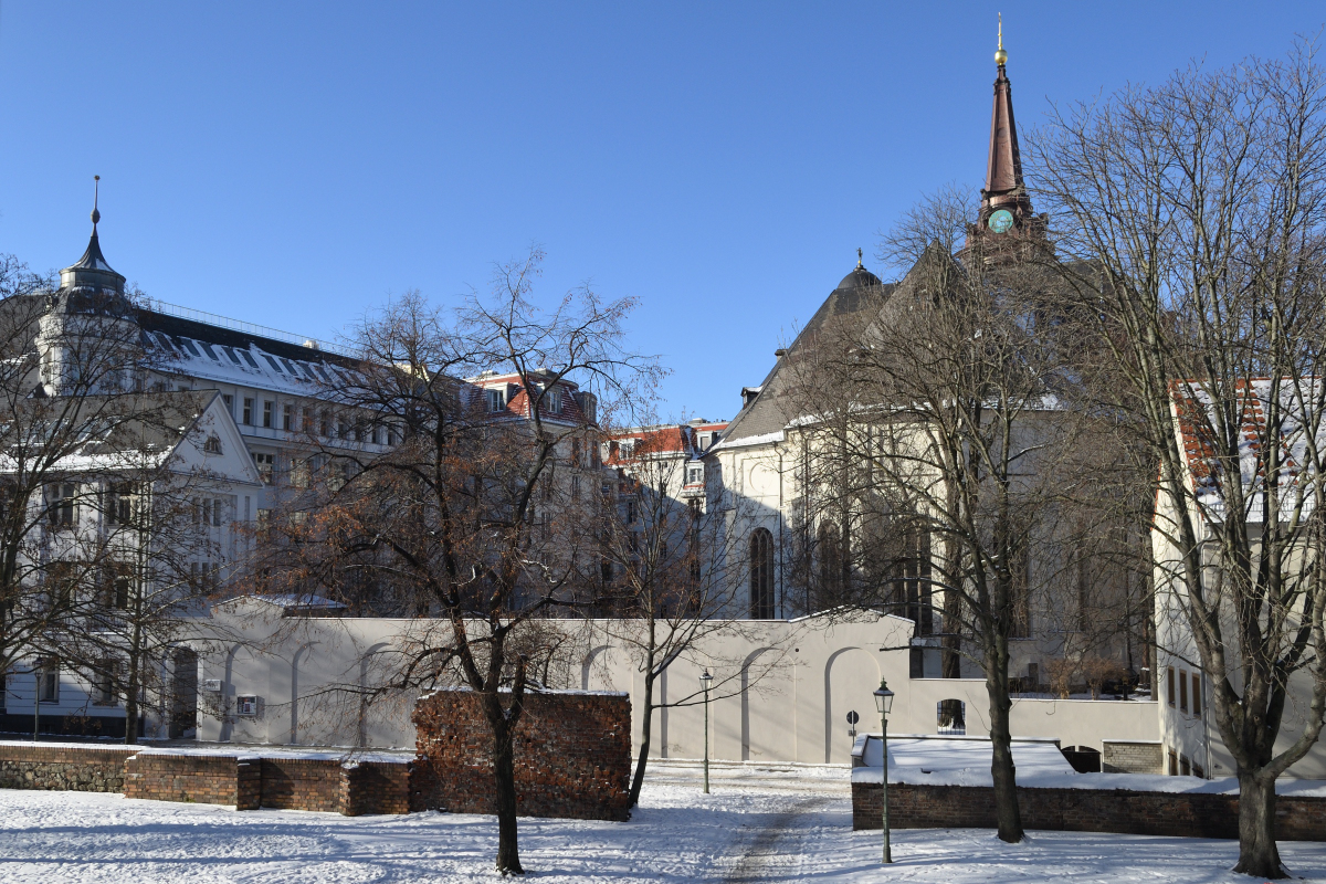 DSC_3463.JPG