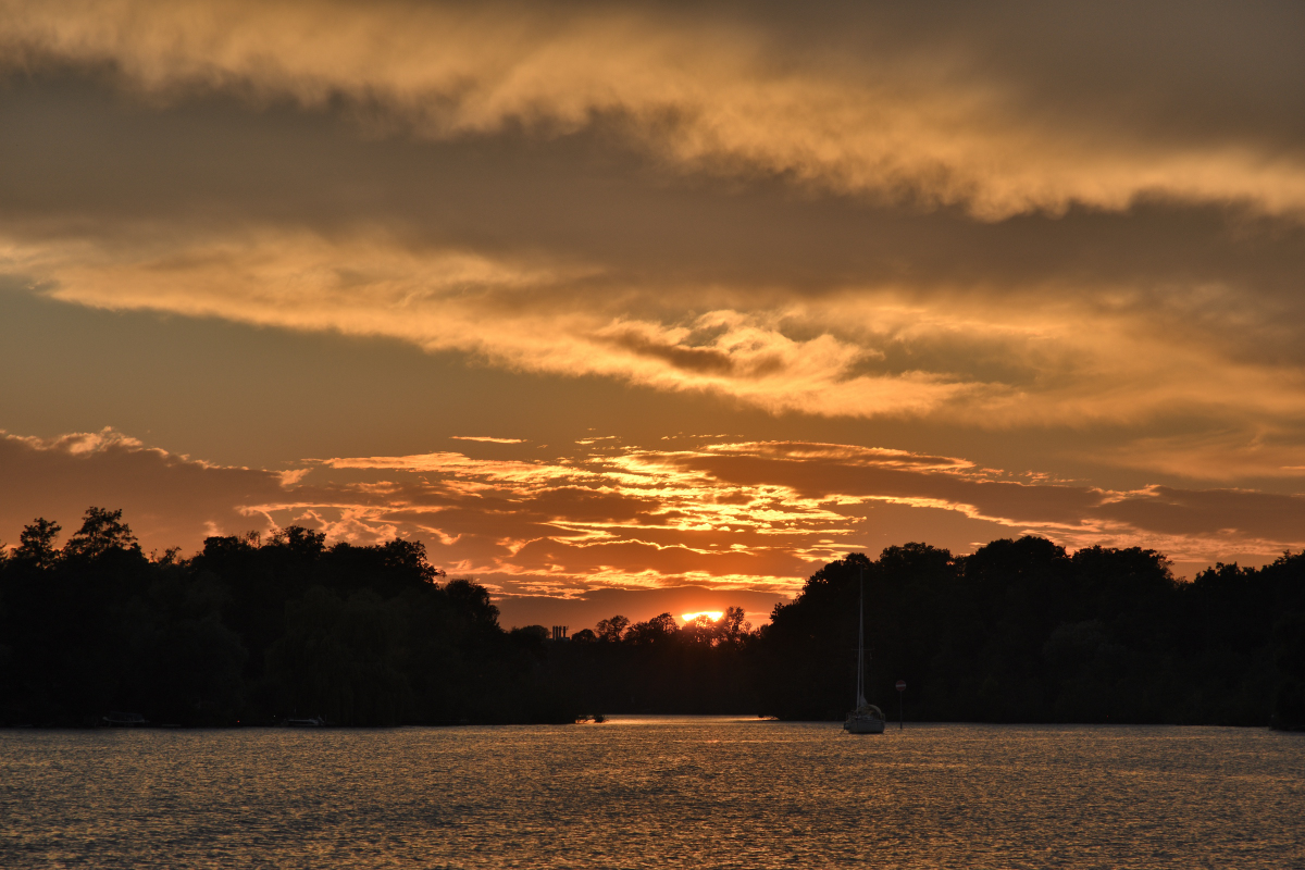 DSC_3501.JPG