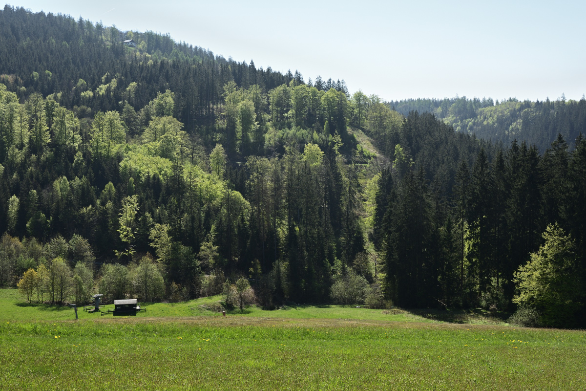 DSC_3553.JPG