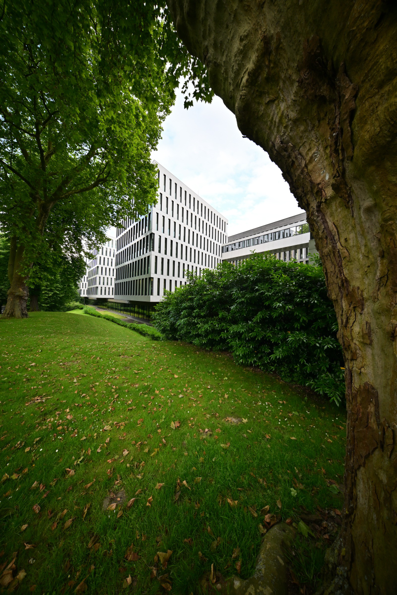 DSC_3576.JPG