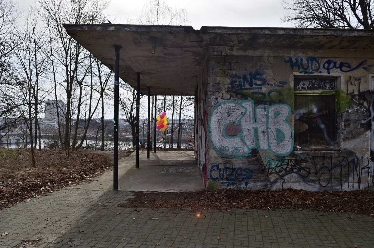 DSC_3585.JPG