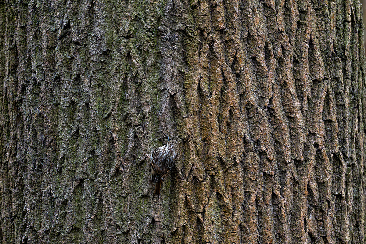 DSC_3601.jpg