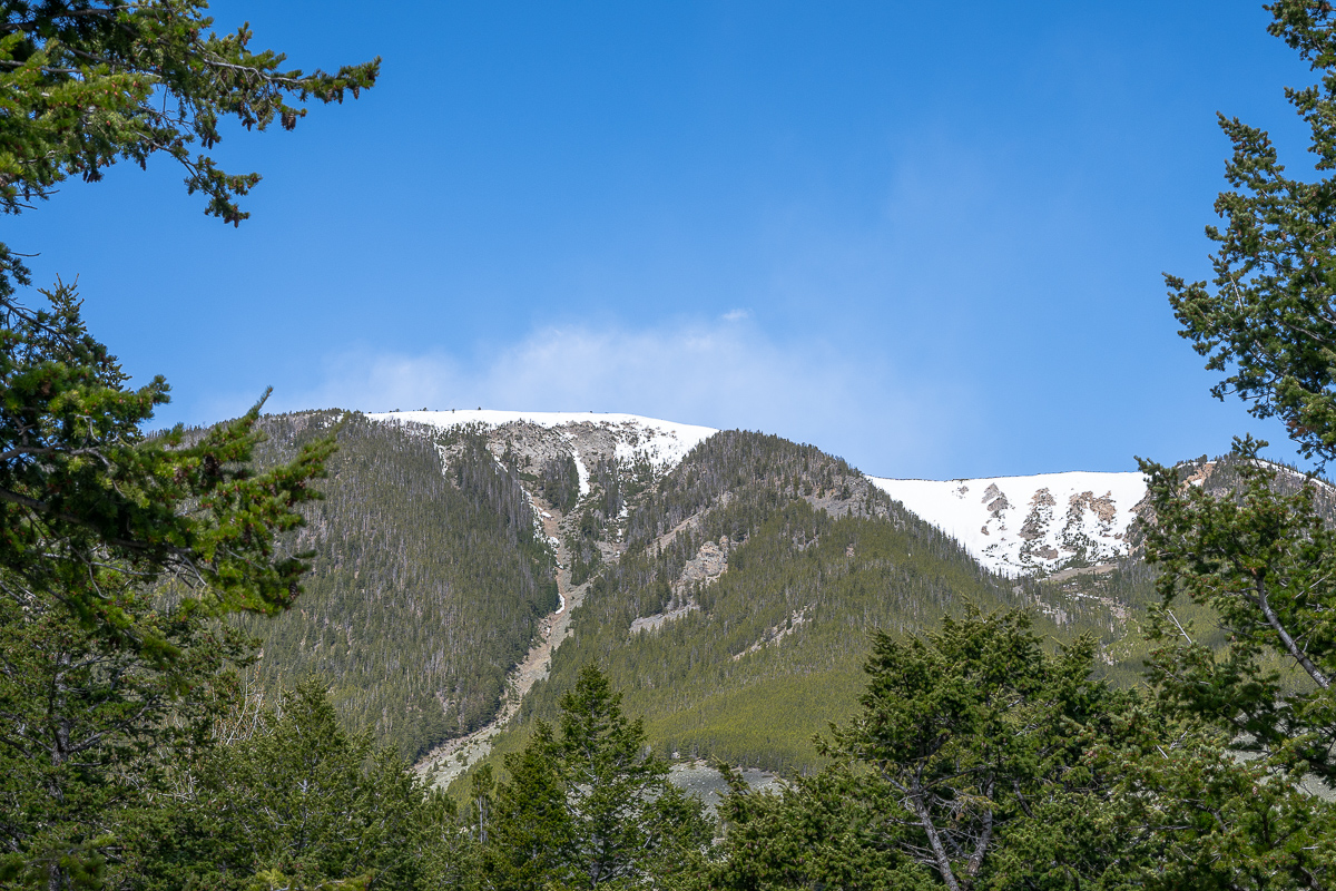 DSC_3682.jpg