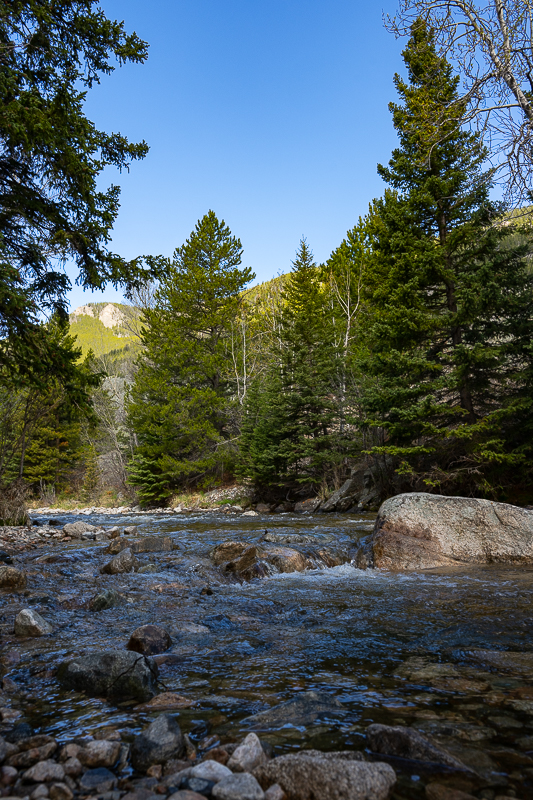 DSC_3685.jpg