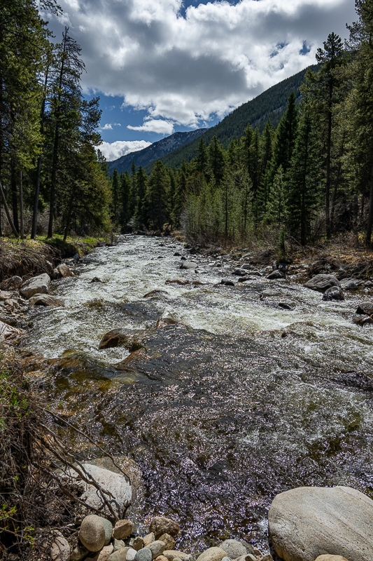 DSC_3692.jpg