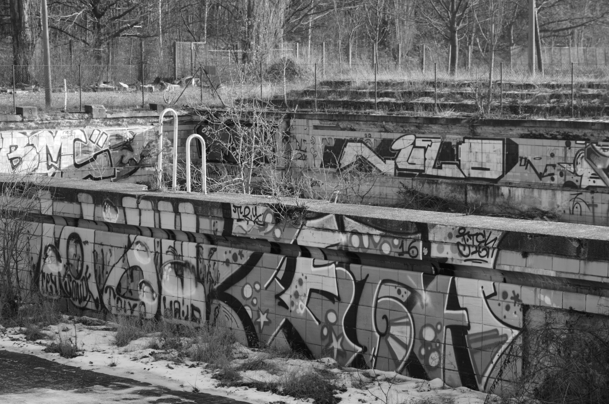 DSC_3694.JPG