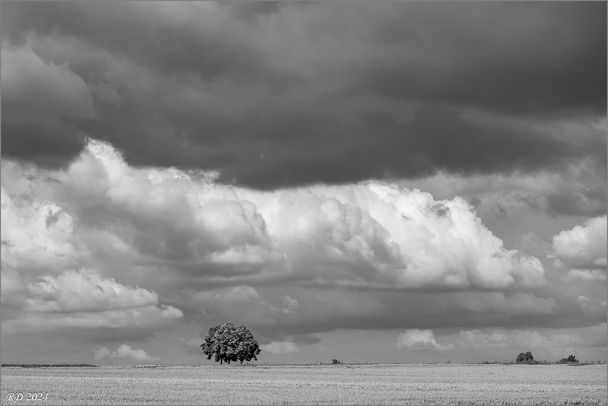 DSC_3719.jpg