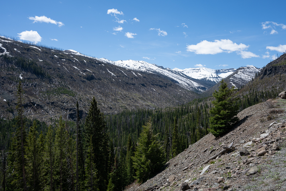DSC_3738.jpg