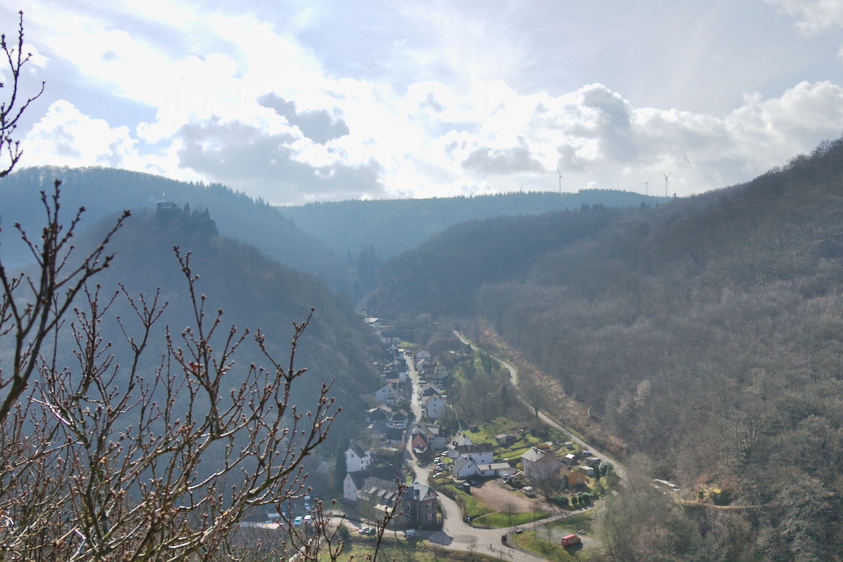 DSC_3750.jpg