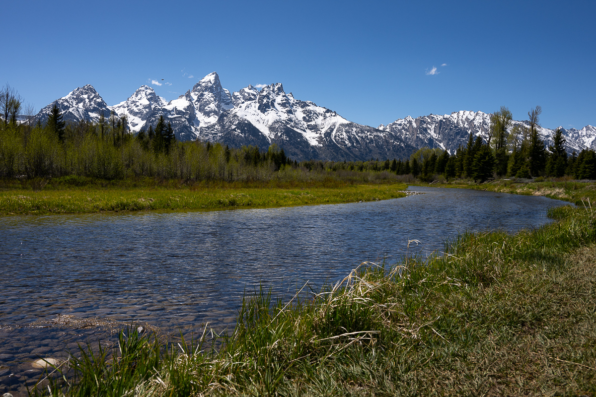 DSC_3763.jpg