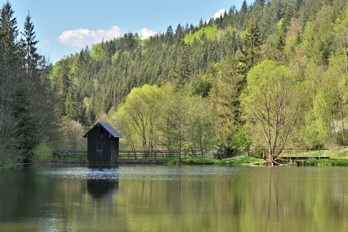 DSC_3766.JPG