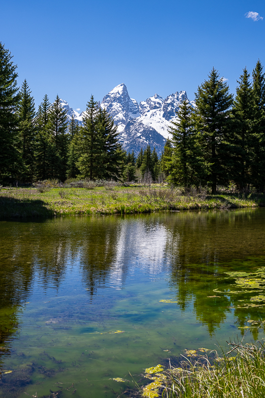 DSC_3769.jpg
