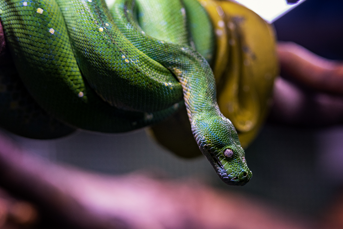 DSC_3794.jpg