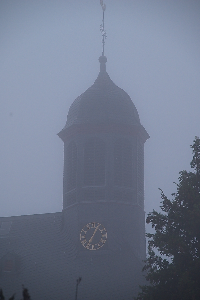 DSC_3802_NIKON Z 5_1200.jpg