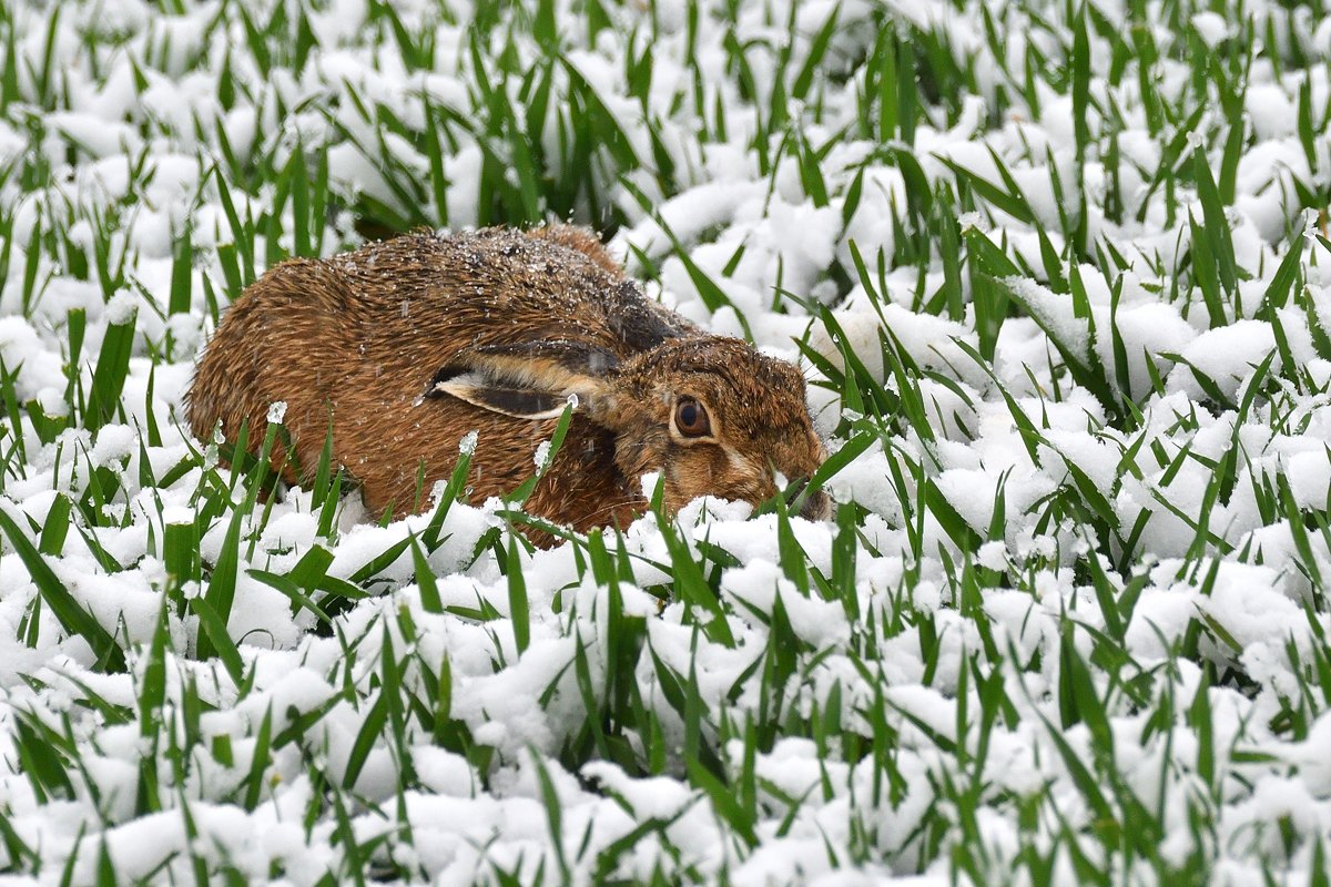DSC_3808.jpg