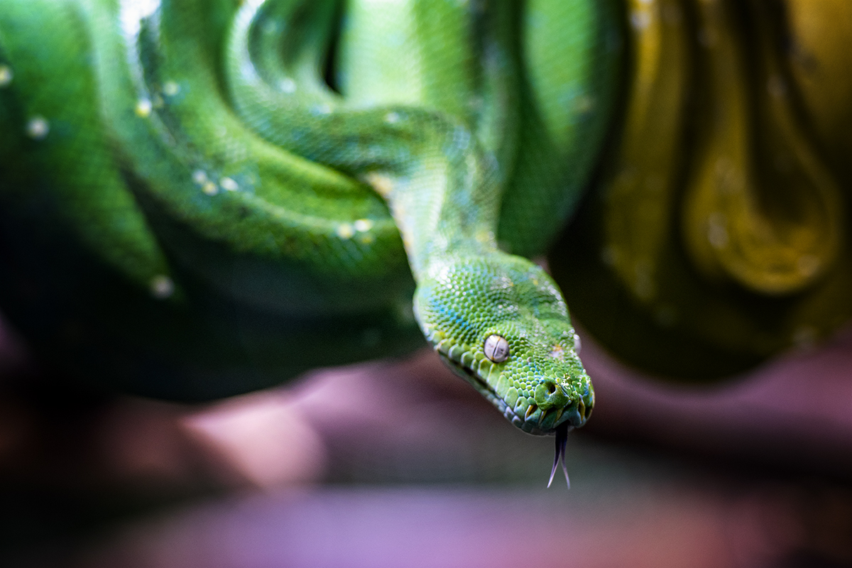 DSC_3812.jpg