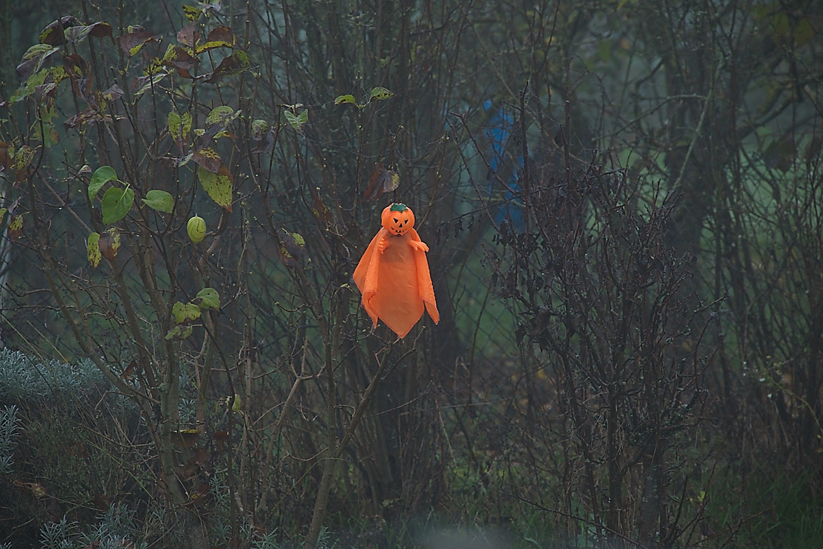 DSC_3842_NIKON Z 5_1200.jpg