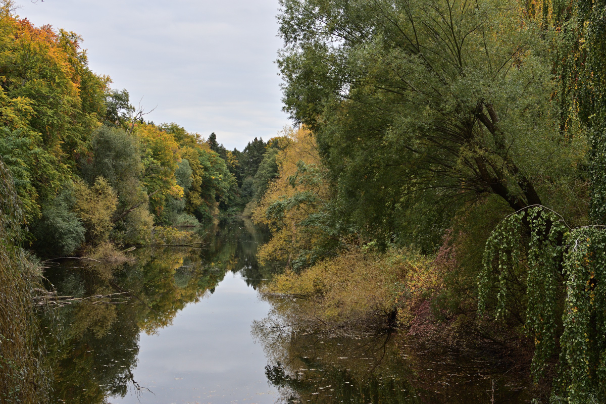 DSC_3904.JPG