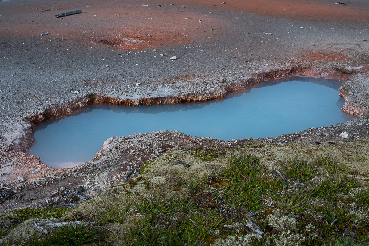DSC_3911.jpg