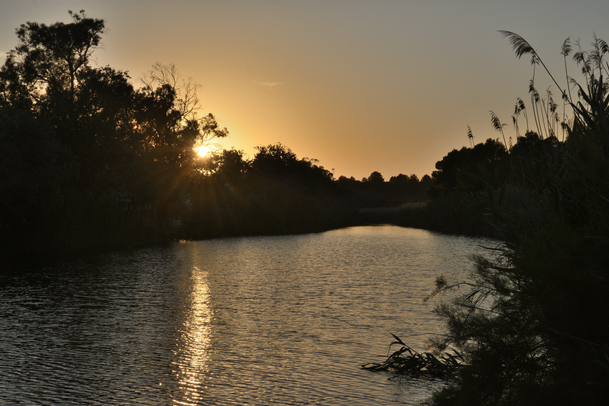 DSC_3944.JPG