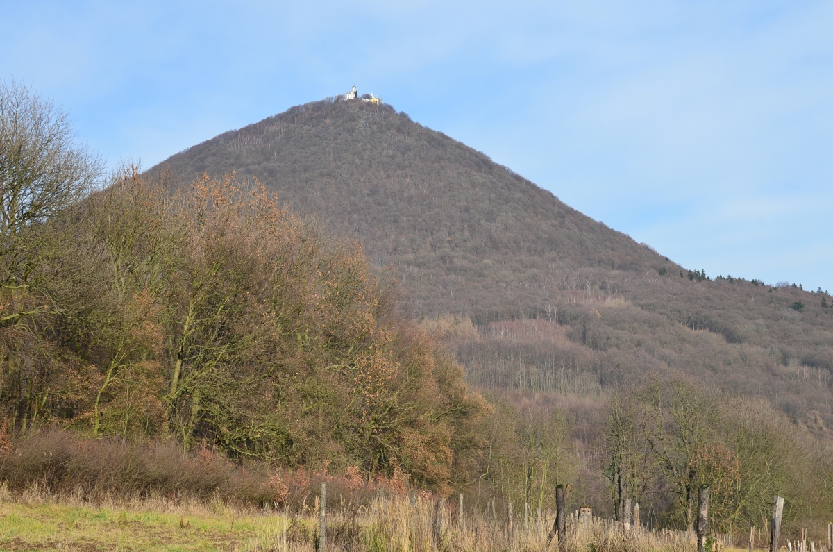 DSC_3947n.jpg